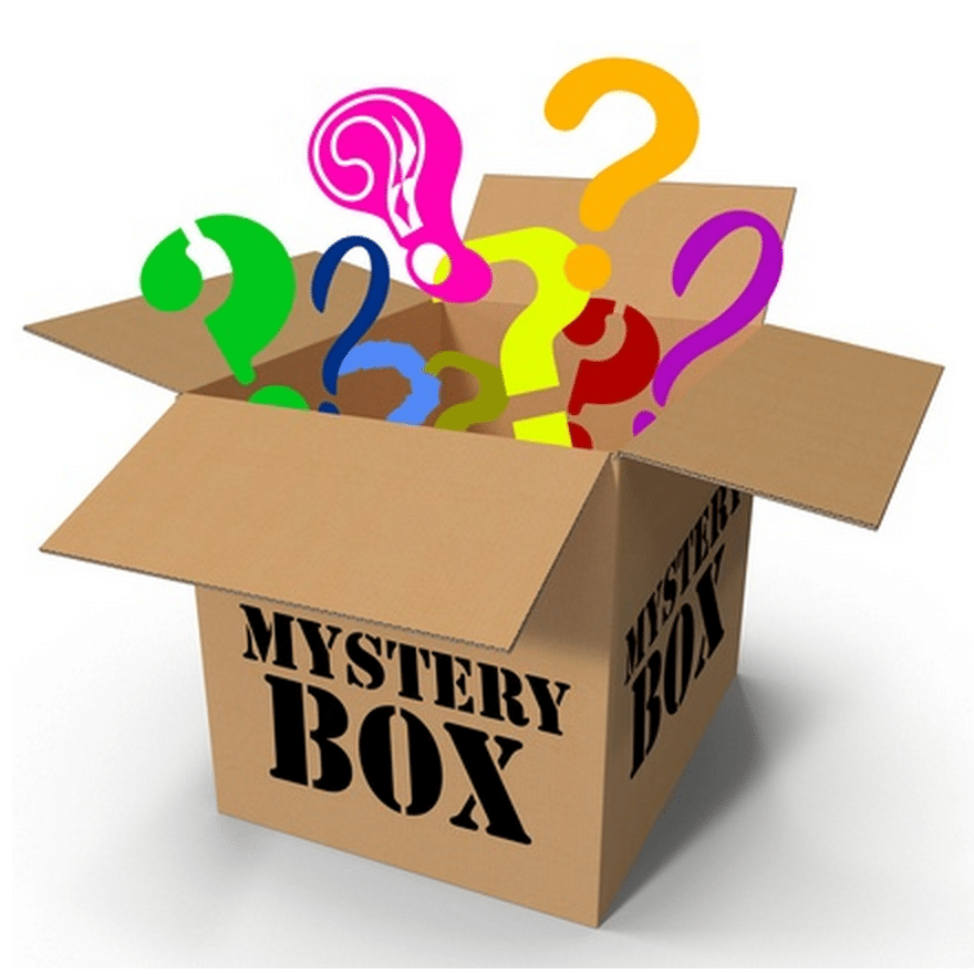 Small Mystery Box - Treasure Finders LLC